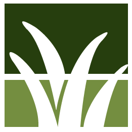 Lakeland Lawn Clean Up