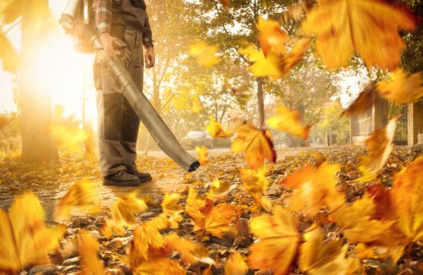 Leaf Blowing Service in Lakeland
