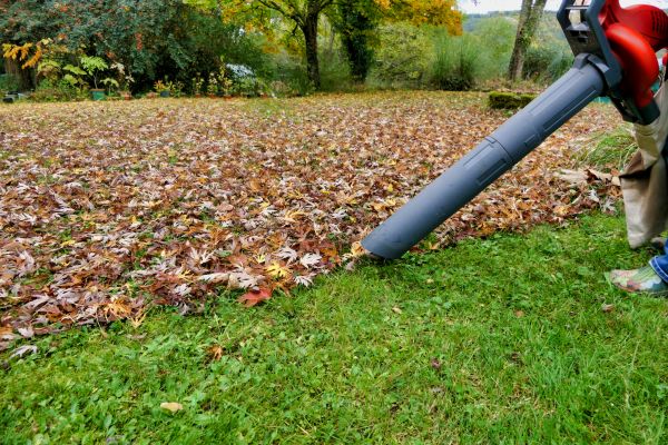 Leaf Vacuuming Service in Lakeland
