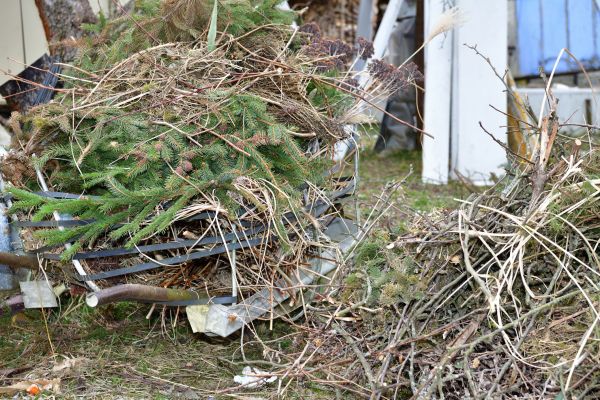 Yard Debris Removal in Lakeland