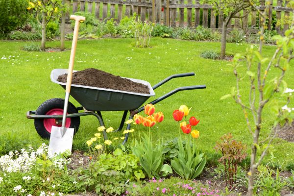Cost of Spring Yard Cleanup in Lakeland