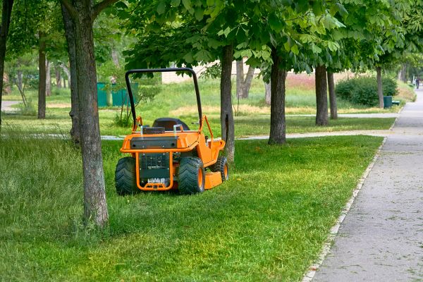 Landscaping Cleanup Service in Lakeland