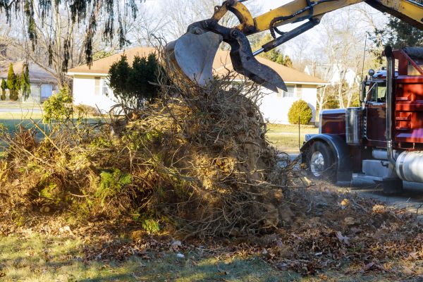 Storm Debris Removal in Lakeland