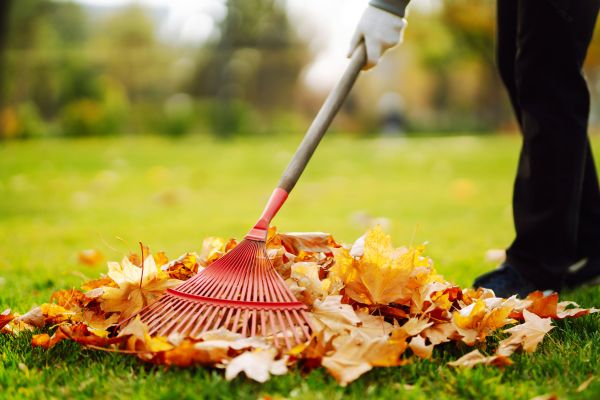 Cost of Ditch Leaf Removal in Lakeland