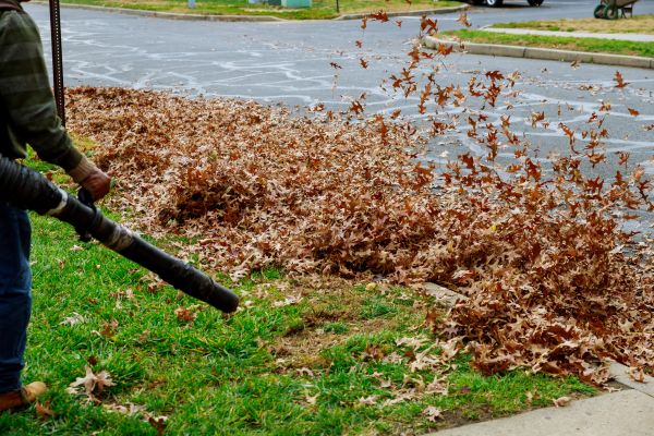 Cost of Garden Leaf Removal in Lakeland