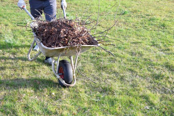 Yard Brush Removal in Lakeland