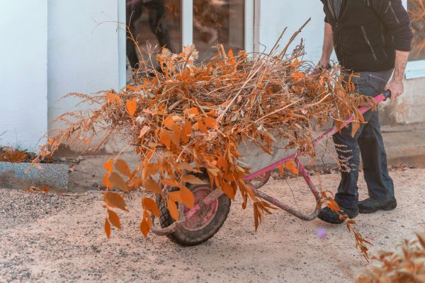 Cost of Lawn Debris Cleanup in Lakeland