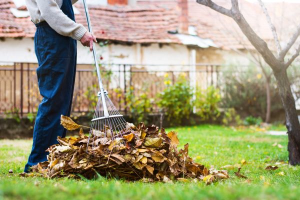 Spring Lawn Cleanup in Lakeland
