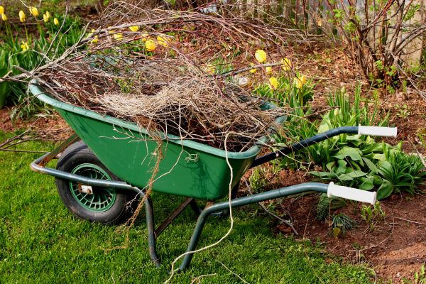 Lawn Waste Removal in Lakeland