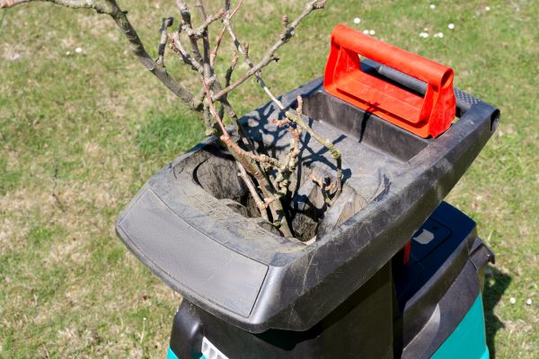Cost of Brush Cleanup Service in Lakeland