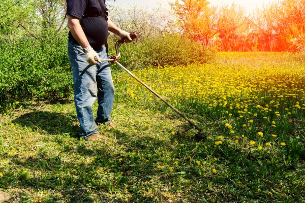 Yard Clearing Service in Lakeland
