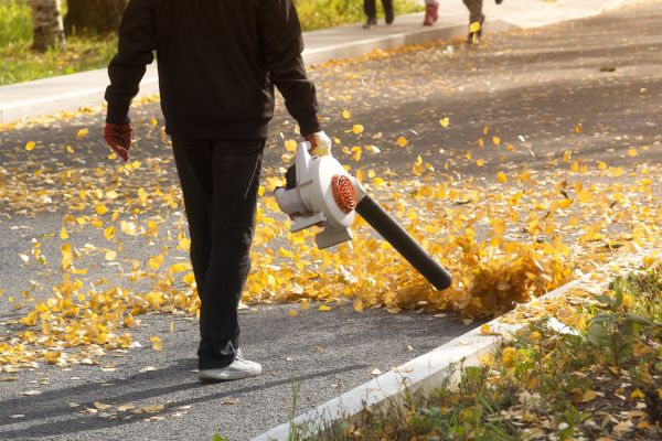 Commercial Leaf Removal in Lakeland