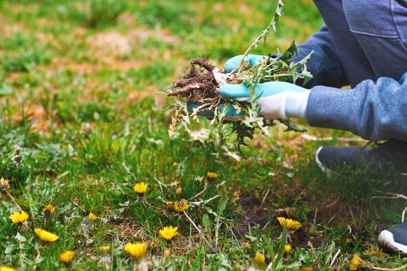 Flower Bed Weeding Service