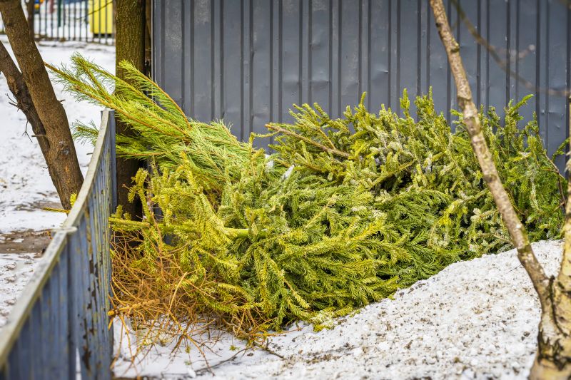 Landscape Debris Cleanup