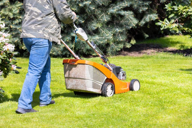 Seasonal lawn maintenance equipment